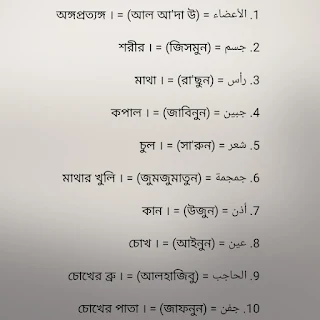 আরবিতে অঙ্গ প্রত্যঙ্গের নাম - Body parts name in Arabic 1 Body parts name in Arabic