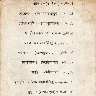 আরবিতে পাখির নাম - Bird names in Arabic 1 আরবিতে পাখির নাম