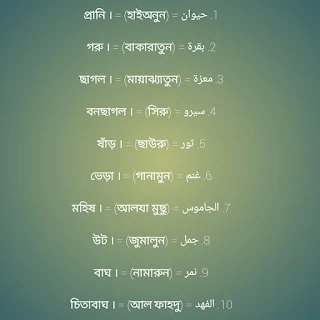 আরবিতে পশুর নাম