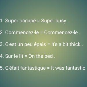 Basic sentences in french