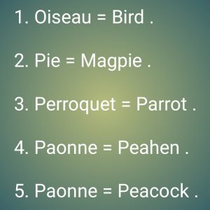 French words in english