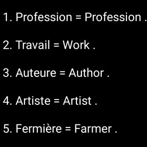 French vocabulary for beginners