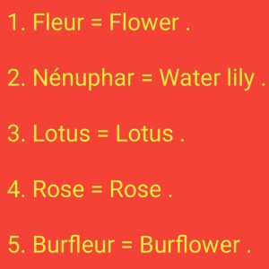 French words english language