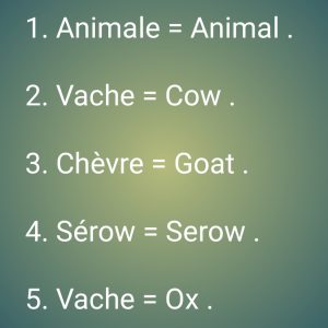 French words for animals